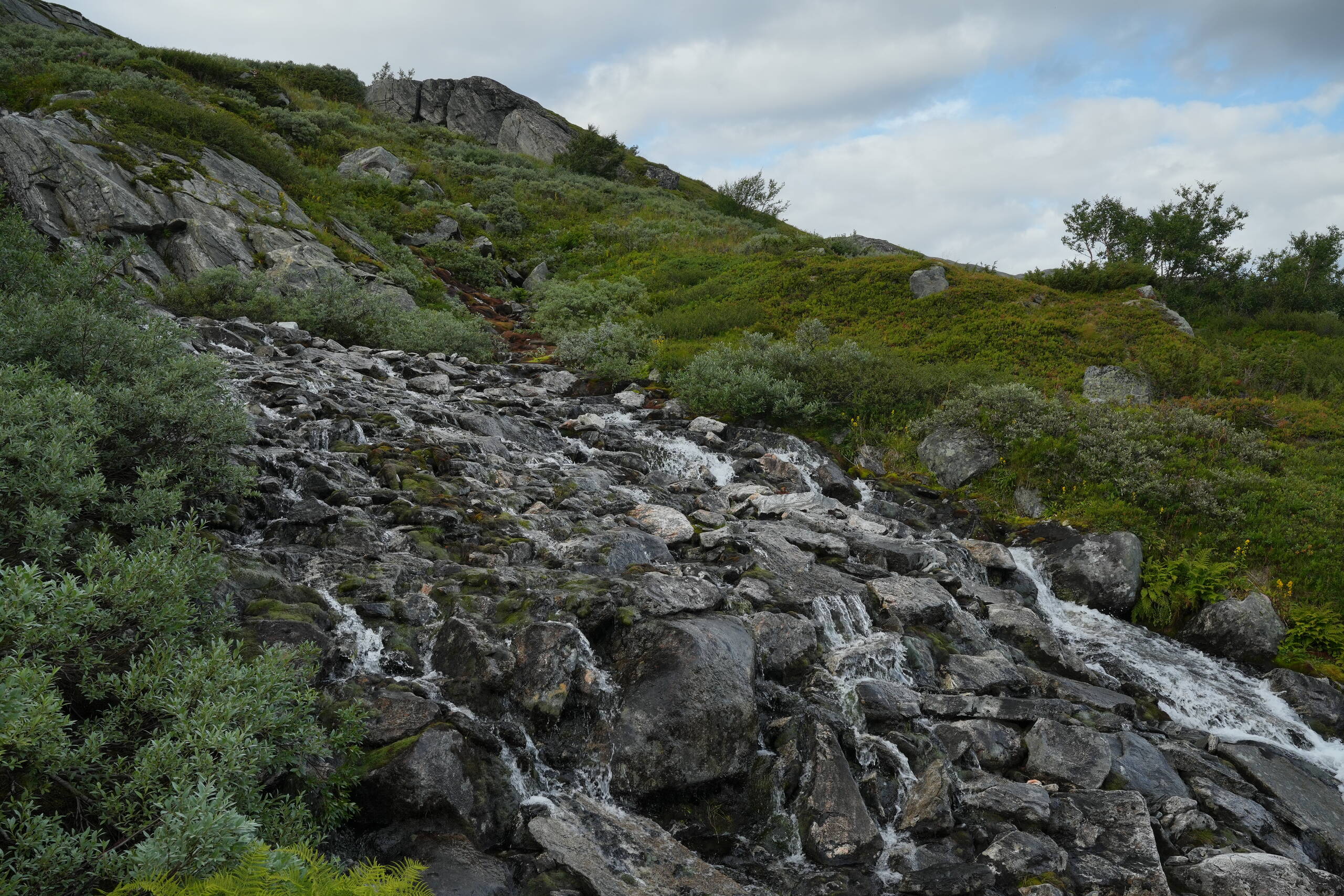 An image of Trollstigen start.